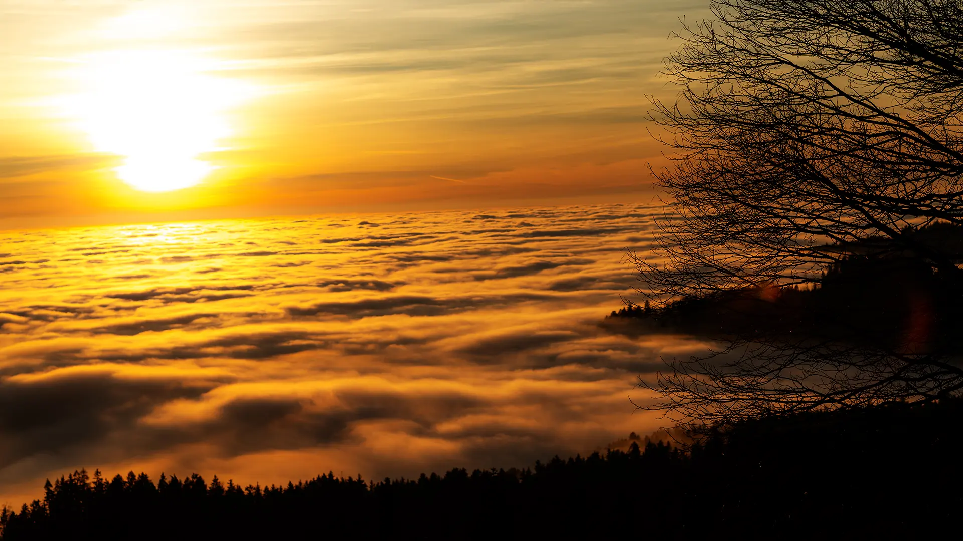 Industrie- und Eventfotografie Straubing: G-Klasse Expedition und industrielle Performance – Walter Jahrstorfer