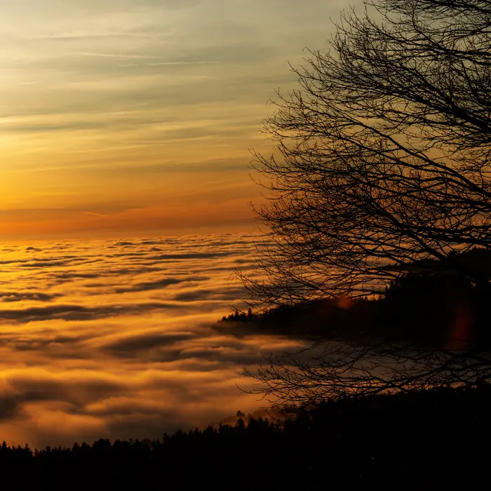 Wegpunkt HOHE SICHT auf der ROUTE Faszination Höhenweg – Symbol für Weitsicht und Überblick