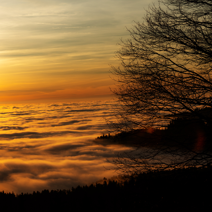 Lagerfeuer, Hotel, Zelt, Camping, Mercedes-Benz, Schöckl, Graz, Steiermark, Landeshauptstadt Graz, Geburtsstätte, G-Class Experience Center, Unmittelbar, Hausberg, Legende, Exklusiv, Luxus, Mercedes Benz, G500, G63, AMG, 4x4, Sotschi, Expedition, Experience, Off-Road-Fahrzeuge, Messe, Geländewagen, SUVs, wichtig, Hersteller, Allrad-Fahrzeug, Off-Road-Fahrzeug, ABENTEUER & Allrad, namhaft, Vielzahl, Modell, Reisemobil, Caravaning, Boom, Reisemobil-Branche, Expeditionsfahrzeug, Wüste, Wüstenfahrzeug, Wohnmobilaufbau, Anfassen, Quads, ATVs, Zweiräder, Markt, ideal, Plattform, Reise, Westalpen, Ausgangspunkt, Offroad-Reise, hektisch, Alltag, spannend, Spannung, Kurvenreich, Sträßchen, Straße, Weg, Hoch, höchsten, Alpenpass, einzigartig, Felsformation, tief, Schlucht, grandios, Panorama, einmalig, Schönheit, malerisch, Landschaft, Tour, fesseln, Wild, urtümlich, Berg, Gebirge, Herz, Europa, Alpen, verschieden, unzählig, eng Serpentine, faszinierend, Bergstrecke, weiter, oben, anfahrbar, Punkt, urig, Bergdorf