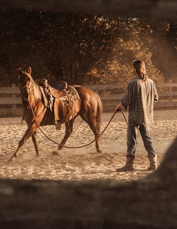 erkennbar, Zügelwirkung, Umstand, Hilfe, Stimme, Speed Control, Mittelpunkt, Arena, Fliegender Galoppwechsel, Pferdegangart, Acht, figure eight, Kreuzungspunkt, unsichtbar, Vorhand, Spin, 360°-Drehung, Gewicht, innere, Hinterbein, Drehachse, mittreten, äußere, Vorderbein, überkreuzen, Stelle, Sliding Stop, markant, stoppt, rutscht, Stillstand, Zügeleinwirkung, Sliden, Sliding-Plates, Hufeisen, glatt, Oberfläche, Rutschen, Roll Back, 180°-Drehung, Stoppbewegung, gesprungen, Hinterhandwendung, Spuren, Back Up, Rückwärtsrichten, rückwärtstreten, Tempo, extrem, Last, Schweif, Training, eingeflochten, Regeln, Westerndisziplin, Ausnahme, Boots, Gamaschen, Anschlagen, Drehbewegung, vermeiden, Turnierstart, Regelwerk, studieren, Scoring, Regelbuch, Übung, auswendig, Abweichung, Form, off pattern, Null-Score, National Reining Horse Association, NRHA, Reiter/Pferd-Paarung, major penaltie, Abzug, bestraft, austritt, bockt, buckelt, Addition, Werte, Endergebnis, Score, kontrollieren, verletzt, Reglement, Verletzung