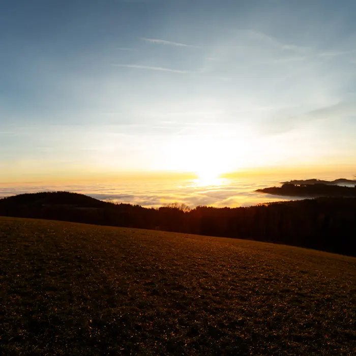 Teambuilding, Incentives und Offroad-Erlebnisse im Bayerischen Wald von artopica